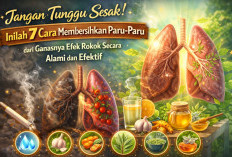 Jangan Tunggu Sesak! Inilah 7 Cara Membersihkan Paru-Paru dari Ganasnya Efek Rokok Secara Alami dan Efektif