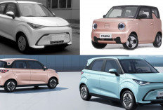 4 Pilihan Mobil Listrik Murah Seharga Motor, Cocok Banget untuk Perjalanan Bersama Keluarga!