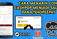 Berlimpah Cuan! Cara Seru Hasilkan DANA Gratis Tiap Hari, Modal Duduk Cantik Saldo Langsung Cair