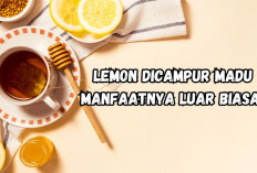 Coba Deh Campurkan Lemon dengan Madu, Manfaatnya Luar Biasa, Simak di Sini!
