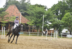 Satu-satunya di Palembang? Lazara Stable Tawarkan Wisata Berkuda, Nongkrong di Resto, Hingga Sekolah Atlet