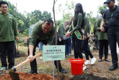 Plh Sekda Edward Candra Tanam 400 Bibit Pohon di Punti Kayu, Peringati Hari Bakti Rimbawan ke-41