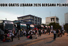Mudik Gratis Pelindo 2026 Dibuka! Cek Cara Daftar 7.000 Kursi ke 13 Rute Favorit