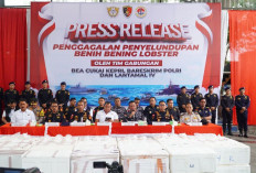 Tim Gabungan Ini Berhasil Gagalkan Penyelundupan Benih Bening Lobster, Berikut Buktinya