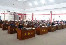 Anggota DPRD Ogan Ilir Apresiasi Gercap Dinas Kesehatan, Terkait ini
