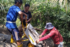 Telan Dana Rp160 Juta, Pemdes Pulau Beringin Lahat Bangun Akses JUT Sepanjang 201 Meter