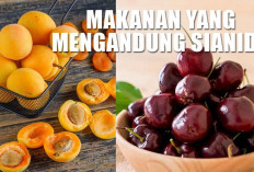 Jangan Berlebihan! 9 Tumbuhan Ini Ternyata Mengandung Sianida Alami yang Bisa Mengancam Jiwa