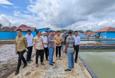 Bupati Lahat Soroti Pembangunan Perikanan Tebat Desa Penandingan, Ini Temuannya