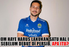 Thom Haye Harus Lakukan Satu Hal Ini Sebelum Debut di Persib, Apa Itu?