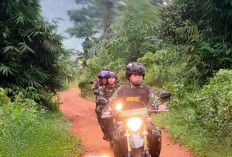 Dukung Rehabilitasi Hutan dan Lahan, Dandim 0413/Bangka Wilayah Kodam II/Swj Patroli Menyusuri Kawasan Hutan 