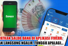 Dapatkan Saldo DANA di Aplikasi Fiverr, Cuan Langsung Ngalir, Tunggu Apalagi...