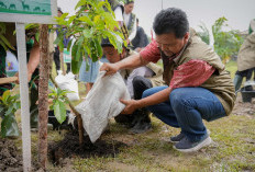 Upaya Hijaukan Pesisir Sungsang, Kilang Pertamina Internasional Diganjar Penghargaan Gubernur Sumsel