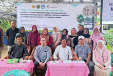 Integrasikan Maggot, Perikanan, dan Pertanian, UM Palembang Perkuat Ketahanan Pangan Masyarakat