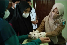 Komisi lV DPRD Lahat Minta Dinkes Pasok Vaksin Rabies Tiap Puskesmas dan RSUD, Ini Tujuannya 
