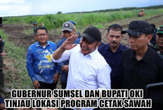 Posisi Sebagai Lumbung Pangan Nasional Semakin Kokoh, Sumsel Andalkan OKI dalam Program Cetak Sawah