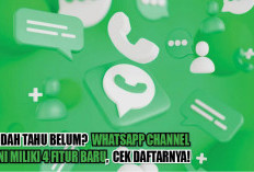 Sudah Tahu Belum? WhatsApp Channel Kini Miliki 4 Fitur Baru, Cek Daftarnya!