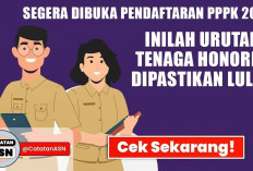 Segera Dibuka Pendaftaran PPPK 2024, Inilah Urutan Tenaga Honorer Dipastikan Lulus