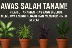 Awas Salah Tanam! Inilah 6 Tanaman Hias yang Disebut Membawa Energi Negatif dan Menutup Pintu Rezeki