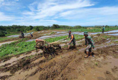 Dukung Ketahanan Pangan, Kodim Bengkulu Utara Siapkan 200 Hektar Lahan Pertanian