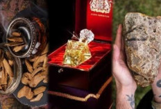 Inti dari Kemewahan Aromatik! 4 Bahan Parfum Paling Mahal di Dunia, Harga per Gramnya Melebihi Emas Murni