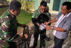 Puluhan Butir Peluru Aktif dan Granat Diserahkan Ke Babinsa, Bukti Kedekatan TNI dan Rakyat