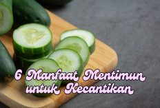 6 Manfaat Mentimun untuk Kecantikan, Bisakah Atasi Kulit  Berjerawat?