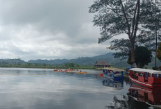 Pesona Danau Mas Harun Bastari, Wisata Sejuk Favorit di Curup