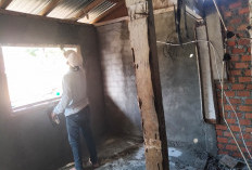 Tidak Hanya Bagian Luar, Interior Rumah Pun Ikut Diplester Satgas TMMD 128