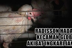 Gara-Gara Ingkari Janji Bebas Sangkar, Radisson Hotel Group Terpaksa Hadapi Kecaman Global 