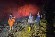 Muara Kuang Membara, 10 Hektar Lahan Dilahap Si Jago Merah
