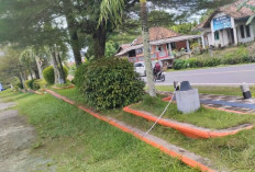 Miris! Lampu Taman di OKU Timur Baru Terpasang, Sudah Hilang Dicuri