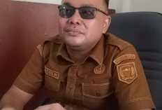 Jangan Lewatkan! Aturan Baru Ini Bikin Peluang Kerja Warga Lahat Makin Besar