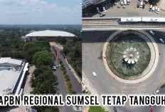 APBN Regional Sumsel Tetap Tangguh, TKD Jadi Motor Penggerak Utama Pembangunan Daerah