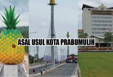 Bukan Sekedar Julukan, Prabumulih Jadi Kota Penghasil Nanas Termanis di Indonesia, Begini Asal Usulnya!