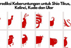 Prediksi Keberuntungan untuk Shio Tikus, Kelinci, Kuda dan Ular: Hari Ini Ada Kesempatan Besar!