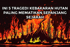Ini 5 Tragedi Kebakaran Hutan yang Paling Mematikan Sepanjang Sejarah