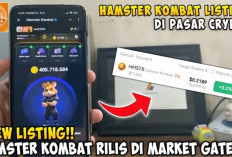 New Listing! Combo Harian Hamster Kombat 14 Agustus 2024, Raih Bonus 5 Juta Koin Dengan Daily Combo