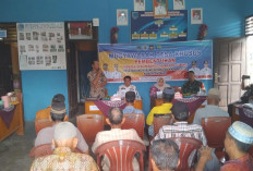 Ketahanan Pangan Tanjung Kurung Lahat Dialihkan Peternakan Sapi, Ini Kata Kades