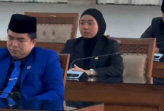 Anggota DPRD Ogan Ilir Kritik Jalan Banyak Ditutupi Rerumputan, Bupati Panca Respon Begini