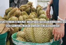 Meski Terbukti Nikmat, Waspadai Batasan Konsumsi dan Efek Samping Makan Durian Terlalu Banyak!