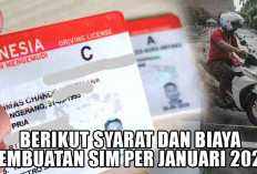 Simak! Berikut Syarat dan Biaya Pembuatan SIM Per Januari 2025, Wajib Tahu