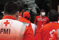 Gak Cuma Urus Donor, Ini Tugas Lain Palang Merah Indonesia yang Jarang Diketahui Publik!