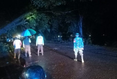 Waduh! Ada Pohon Tumbang Ganggu Lalu Lintas, Ini Langkah Personel Polsek Baturaja Timur
