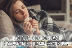 Lagi Flu? Coba Konsumsi 9 Makanan Ini, Dijamin Cepat Pulih!