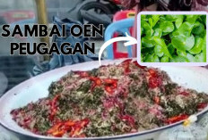 Cek Fakta Sambai Oen Peugaga! Makanan Legendaris Aceh Berbahan 44 Jenis Daun Unik, Hadir di Bulan Istimewa