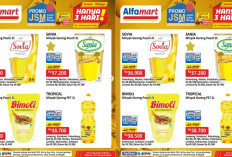 KATALOG Promo JSM Alfamart Periode 20 Desember 2024, Dapatkan Sovia Minyak Goreng Pouch 2L Rp36.900