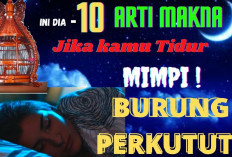 Makna dan Arti Mimpi Burung Perkutut, Simbol Keberuntungan atau Peringatan?
