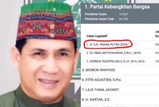 Mantan Walikota Lubuklinggau SN Prana putra Sohe Ungguli Perolehan Suara Sementara PKB Dapil I Sumsel