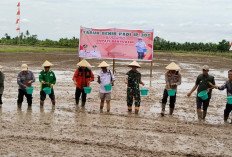 Dandim Banyuasin Tabur Benih IP 300 Bersama Bupati, Desa Ini Lokasinya
