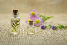 9 Cara Membuat Parfum Berbaha Alami, Yok Coba di Rumah